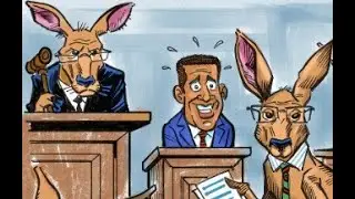Australia's Dumbest Laws  You Won't Believe,