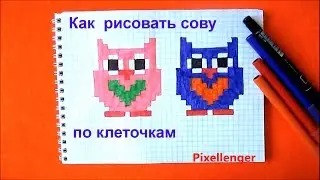 How to draw Simple Owl Pixel Art.