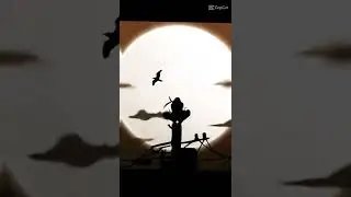 итачи учиха