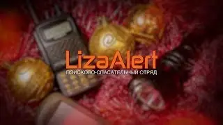 Liza Alert 2018