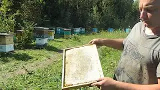 ПОДВОДИМ ИТОГИ 2017 ГОДА