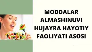 MODDALAR ALMASHINUVI HUJAYRA HAYOTIY FAOLIYATI ASOSI