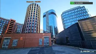 🔴РОЮСЬ В МУСОРКАХ ПИТЕРА. СТРИМ.