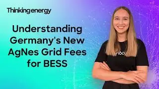 AgNes Explained: What will Germany's new grid-fee rules for BESS look like after 2028?
