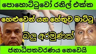 බලු අරමුණක් වෙනුවෙන් හෙළුවෙන් යන නරි