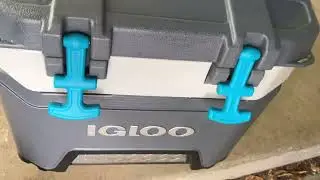 Igloo BMX 25 QT Cooler