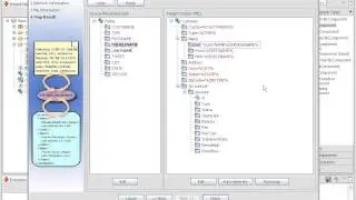 Composite Data Services Exposed