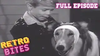 Lassie full episodes 🎄A Christmas Story 🎄 Christmas Special - Old Cartoonss