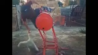 Темір атпен жаттығу🏇 | Көкпар жаттығу🏇💪