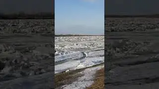 Иртыш еще стоит 20 апреля 2024 Тарский район