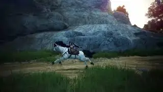 Black Desert Keynote Infos & Updates