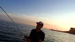 SHORTS с моря