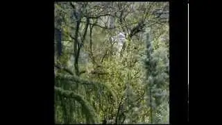 Video Musica e Poesia:H. De Regnier "Odicina d'Amore"