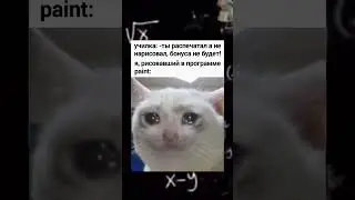 #необычныежизы #жиза #мем #кот #училка #paint #школа
