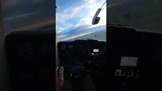 Otto the flying dog.