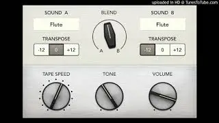 Mellotron ”Flutes(Octave Unison）