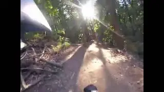Demo Flow Trail 8/12/16