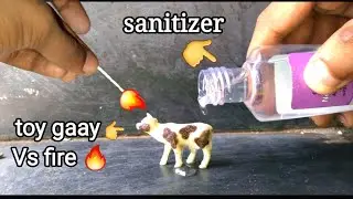 Amazing Experiment Gaay Vs sanitizer. gaay Vs fire sanitizer. gaay toy Vs fire