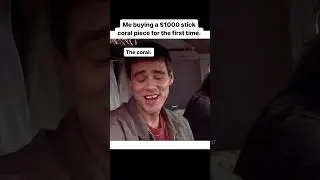 I feel dumb now 🤣