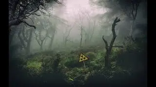 S.T.A.L.K.E.R. - Call of Chernobyl [stason174] - Тайна Зоны, часть 21