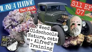 S11EP07 Weeks 4-5 of flower, Dan + his gun, Alaska old school cars + ALFREDS CHRONICLES spiderfarmer