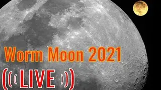 Worm Moon Live - 1st Supermoon of 2021
