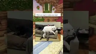Cute Pet Memes!