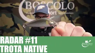 RADAR #11 TROTA NATIVE: artificiali hard e soft, canne da trota, accessori e buffetterie
