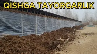 QISHGA TAYYORGARLIK BOSHLANDI