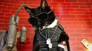 Кот против крота!