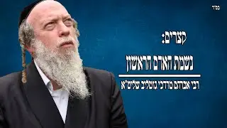 קצרים: נשמת האדם הראשון