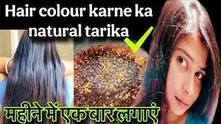 Burgundy Hair Colour at Home | #haircolor ​⁠@Beautyvloggerswarnali