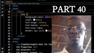 Html CSS Tutorial for Beginners to Advance: 40 HTML & CSS Basics Crash Course - CSS HSL Colors
