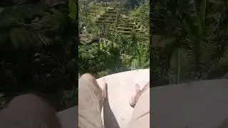 Tegalalang Rice Terrace #bali #baliindonesia #ubud #riceterrace