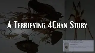 4Chan User Finds Something Terrifying in a Broken Wii U | Internet Mysteries