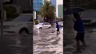 Flood In Dubai 2024 #rainindubai #2024 #facts #shortsvideo #shorts