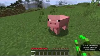 A regular Minecraft survival video