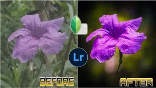 FLOWER EDITING TUTORIAL 🔥||| MOBILE EDITING IN @Snapseed  & @Lightroom APP #edit