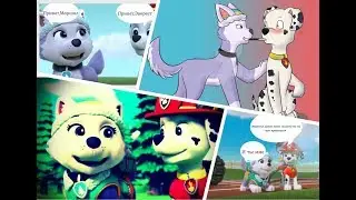 ❤ Комикс|Маршал и Эверест|LOVE ❤ [Video Reupload]