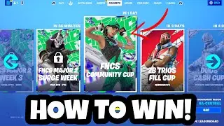 How Many POINTS & TOP % Do You Need To Get FNCS Community Cup Skin? (FNCS Skin Cup + FREE FNCS SKIN)