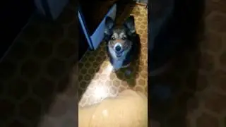 Моя доня