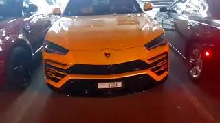 Lamborghini Urus 🇮🇹🇮🇹