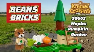Animal Crossing Maples Pumpkin Garden 30662