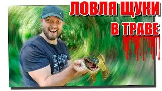 Ловля щуки в траве на спиннинг! Или как не сдохнуть на рыбалке?!!!