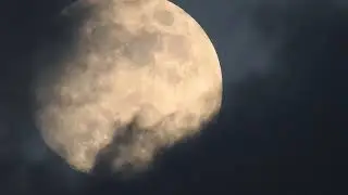The Moon live