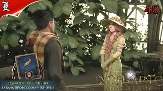 40✪ Hogwarts Legacy ➤ Хогвардс Наследие ➤ Задача профессора Чесноук 1 ➤ Игрофильм ➤Без комментариев