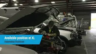 XL Automotive Electrician