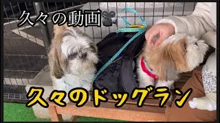 久々投稿📣皆んな元気でした😃