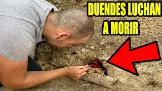 DUENDE SALE de su CASITA y se MUESTRA ante los HUMANOS por primera vez 104 | Laguna Negra