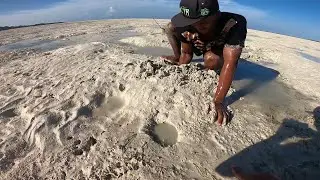 DUA LUBANG SALING TERHUBUNG BERISI SEPASANG UDANG MONSTER ! BERBAHAYA.!